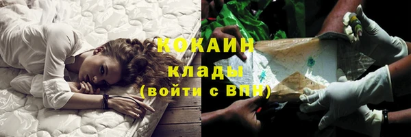 PSILOCYBIN Липки