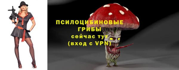 PSILOCYBIN Лихославль